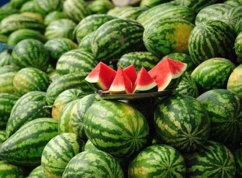 各网红吃童锦程的瓜,童锦程瓜料引热议，揭秘背后真相